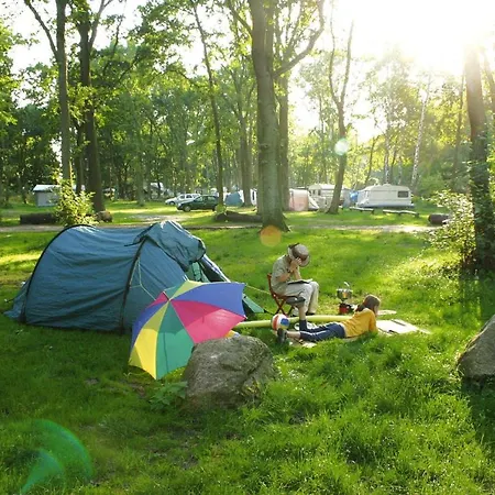 Holiday Village Muritzparadies Am Muritzufer - Dms02138-fyc Prázdninový dům